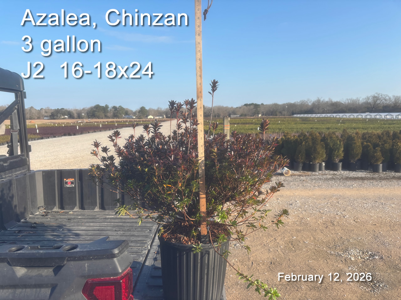 gallery/ch3 j2 feb12.jpg